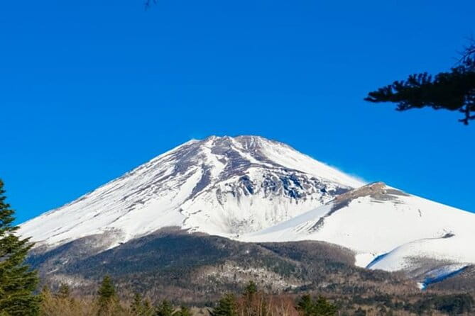 Mt. Fuji and Hakone 1-Day Bus Tour [Return W/ Shinkansen] - Considerations for Participants
