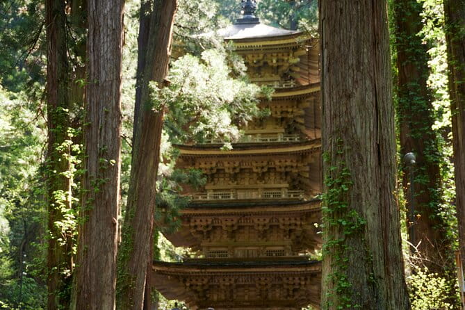 Mt. Fuji and Hakone Private Day Tour With English Speaking Guide - Accessibility and Inclusivity