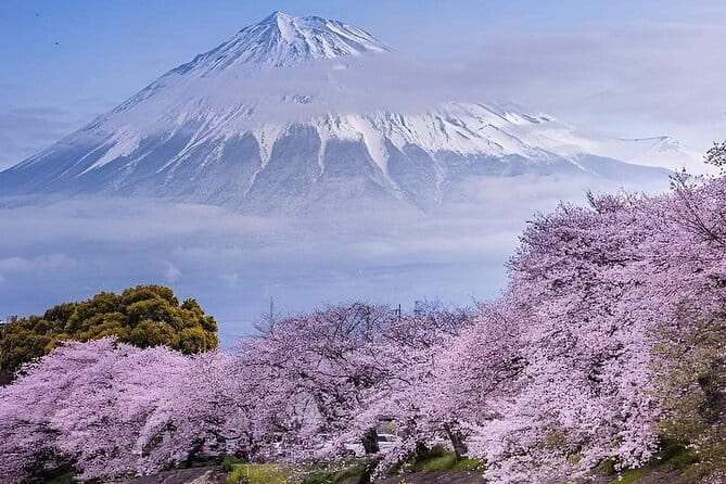 Mt. Fuji and Hakone Private Tour With English Speaking Driver - Tour Overview and Highlights