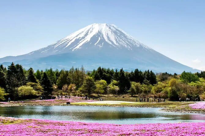Mt. Fuji and Hakone Private Tour With English Speaking Driver - Accessibility and Participant Considerations