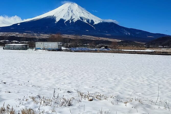 Mt. Fuji and Hakone Private Tour With English Speaking Driver - Transportation and Pickup/Drop-off Details