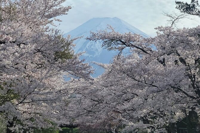 Mt Fuji and Lake Kawaguchi Day Trip With English Speaking Driver - Key Points