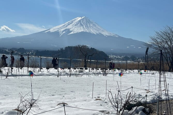 Mt Fuji and Lake Kawaguchi Day Trip With English Speaking Driver - Cancellation and Booking Policies