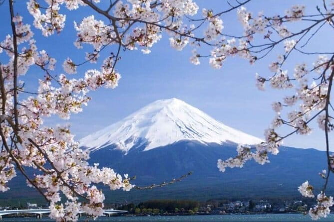 Mt. Fuji and Lake Kawaguchi Day Trip With Guide - Meeting and Pickup Information