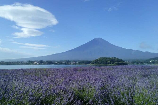 Mt.Fuji Day Tour From Tokyo With Chinese and English Service - Accessibility and Participation