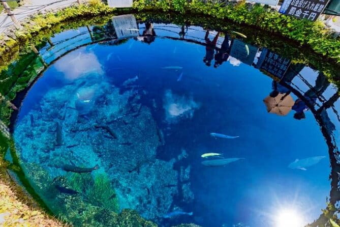 Mt.Fuji Day Tour From Tokyo With Chinese and English Service - Group Size and Pricing