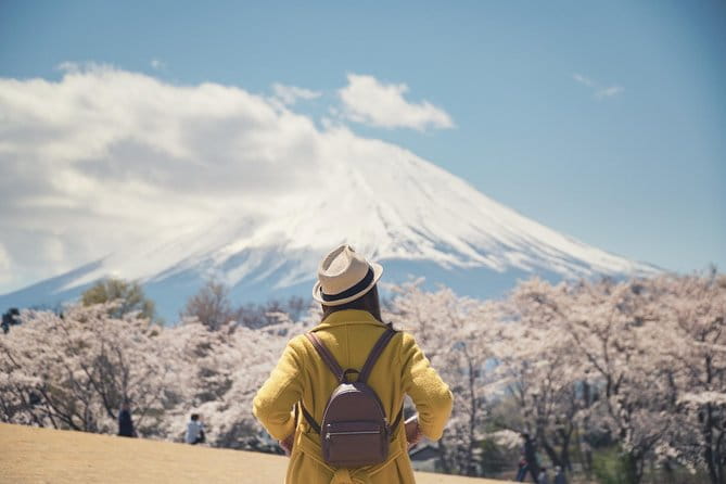 Mt Fuji & Hakone Private Day Tour W/ English Speaking Driver - Tour Overview and Highlights