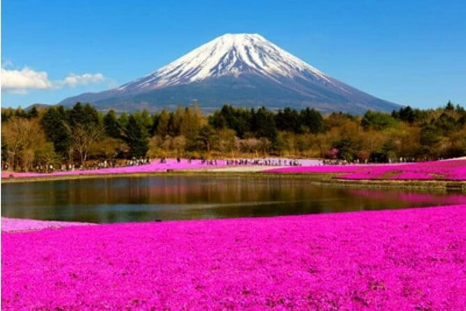 Mt Fuji, Hakone Private Tour by Car With Pickup - Customizable Sightseeing Itinerary