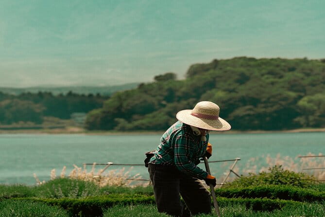 Mt Fuji, Hakone Private Tour by Car With Pickup - Customer Feedback and Experiences