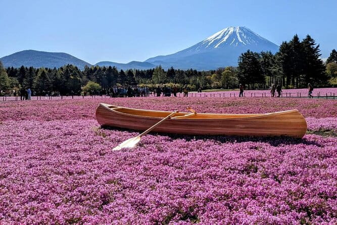 Mt Fuji, Hakone Private Tour by Car With Pickup - Booking Information and Policies