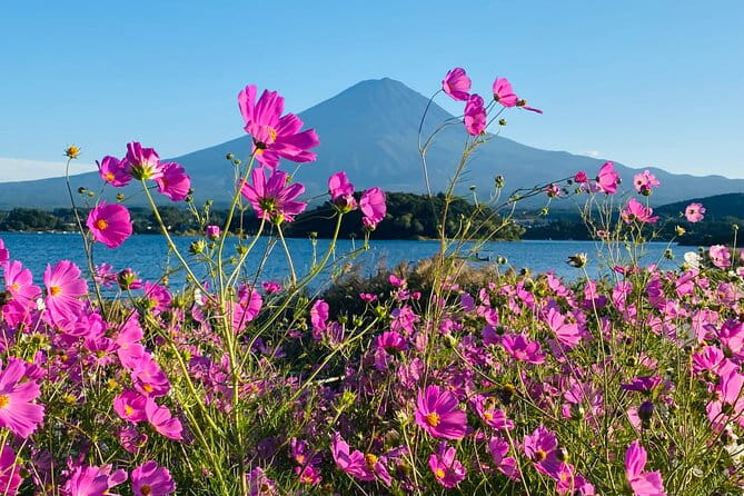 Mt.Fuji Hakone Private Tour With English Speaking Chauffeur - Tour Overview