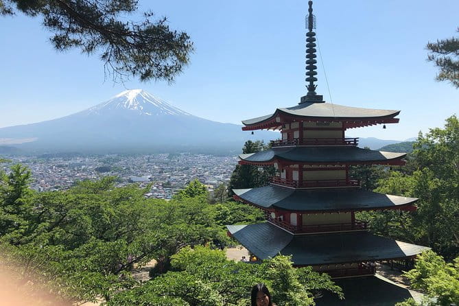 Mt.Fuji & Hakone Tour, From-To Tokyo/Yokohama/Odawara, 2-12guests - Accessibility Features