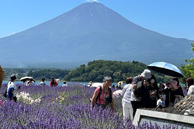 Mt.Fuji & Hakone Tour, From-To Tokyo/Yokohama/Odawara, 2-12guests - Customer Experiences and Reviews