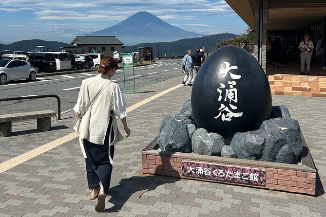 Mt.Fuji & Hakone Tour, From-To Tokyo/Yokohama/Odawara, 2-12guests - Important Considerations