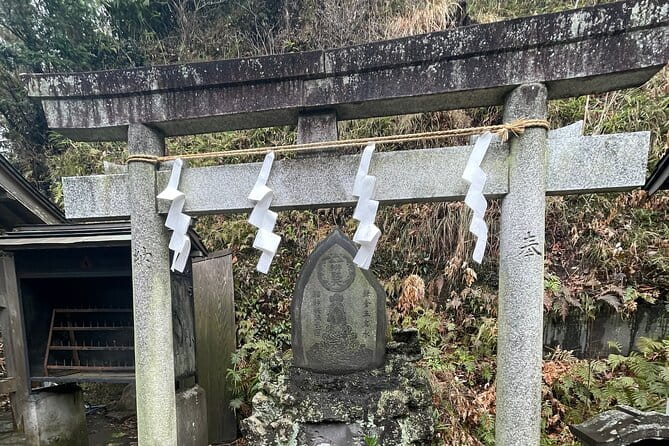 Mt FUJI - Panoramic Tour W/ Hoto Lunch, JP Sake & Onsen Tatto OK! - Mount Fuji Panoramic Views