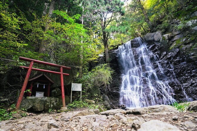 Mt. Fuji Private Chartered Tour With Nature & Wasabi Farm - Savoring the Culinary Delights of the Tour