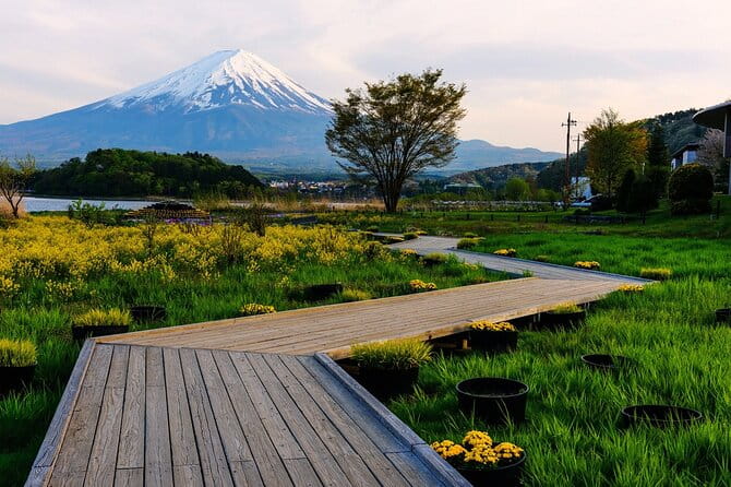 Mt.Fuji Private SightSeeing Day Tour (From Tokyo) - Booking and Payment