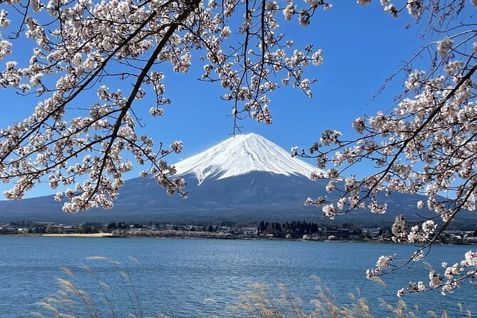 Mt Fuji Private Sightseeing Tour From Tokyo - Key Points