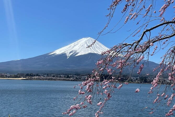 Mt Fuji Private Sightseeing Tour From Tokyo - Inclusions and Amenities