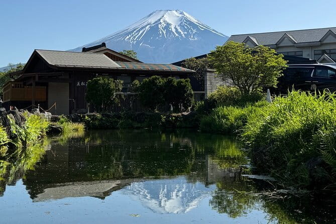 Mt Fuji Private Sightseeing Tour From Tokyo - Cancellation Policy