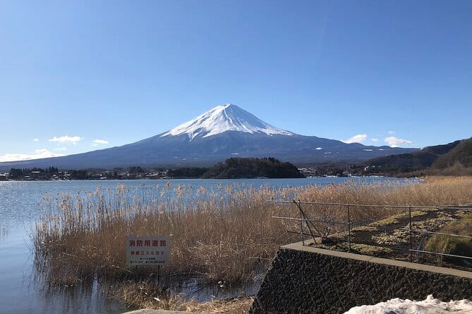 Mt Fuji With Kawaguchiko Lake Day Tour - Tour Conditions and Guidelines