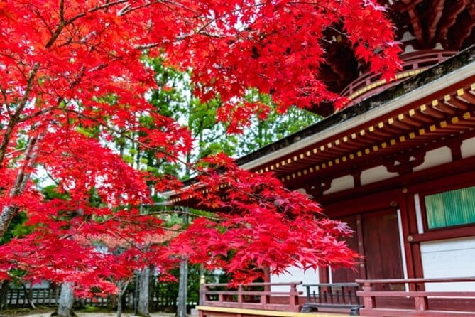 Mt Koya 1 Day Bus Tour From Osaka - Itinerary Highlights