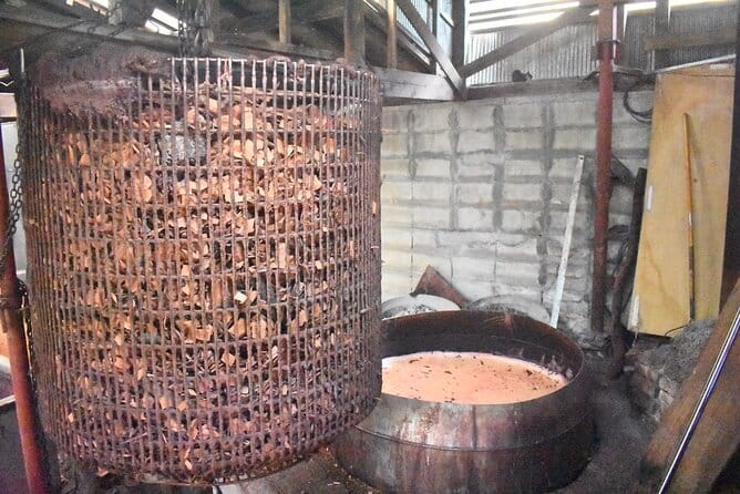 Mud Dyeing Workshop and Visit to Oshima Tsumugi Textile Factory - Overview of the Mud Dyeing Workshop