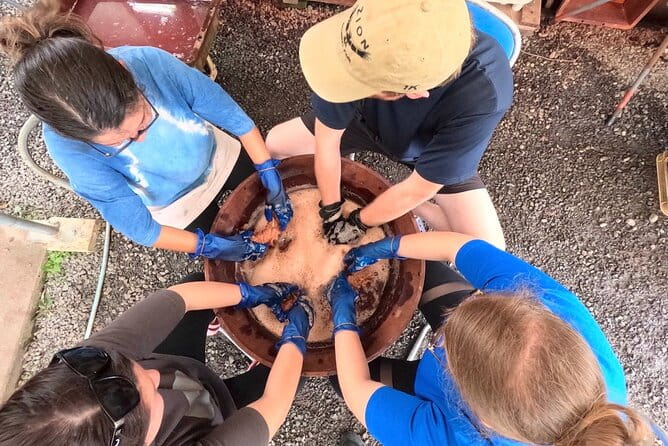 Mud Dyeing Workshop and Visit to Oshima Tsumugi Textile Factory - Accessibility Features