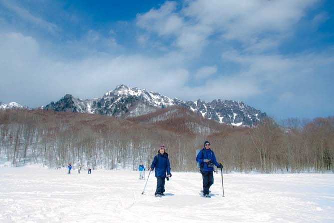 Nagano Winter Special Tour Snow Monkey and Snowshoe Hiking!! - Tour Overview