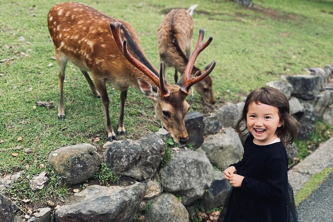Nara Adventure: Todaiji, Kasuga Shrine, Nara Park, Hozanji Temple - Key Points