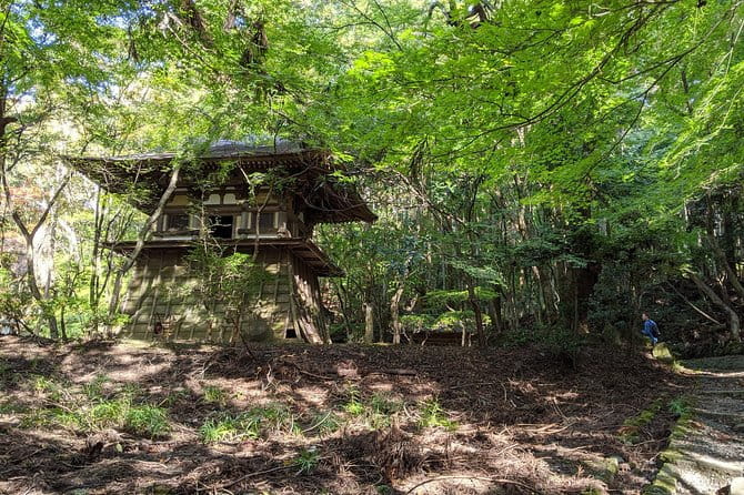 Nara - Heart of Nature Bike Tour - Japanese History and Culture Insights