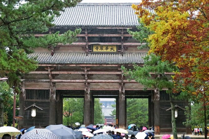 Nara World Heritage PRIVATE TOUR - Taking in Naras Cultural Treasures