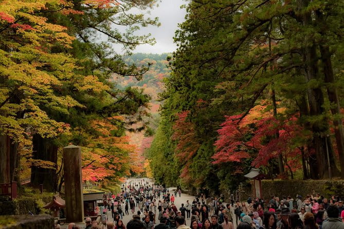 Nikko Private Customizable Full Day Tour - Tips for a Successful Tour Experience