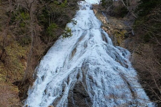 Nikko Private Experience With English Speaking Driver - Transportation and Inclusions