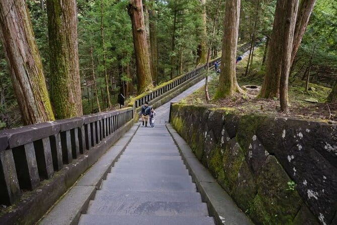 Nikko Private Experience With English Speaking Driver - Accessibility and Medical Considerations