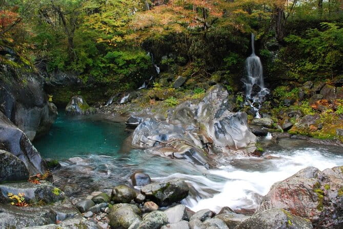 Nikko Private SightSeeing Day Tour (From Tokyo) - Customer Reviews and Feedback