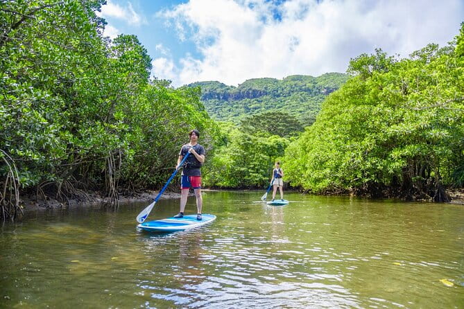 Okinawa Iriomote Mangrove SUP or Canoe Tour - Meeting and Pickup Details