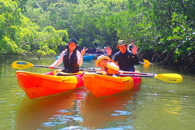 Okinawa Iriomote Mangrove SUP or Canoe Tour - Traveler Reviews and Ratings