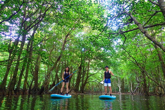 Okinawa Iriomote SUP or Canoe and Sightseeing in Yubujima Island - Discovering Yubu Island