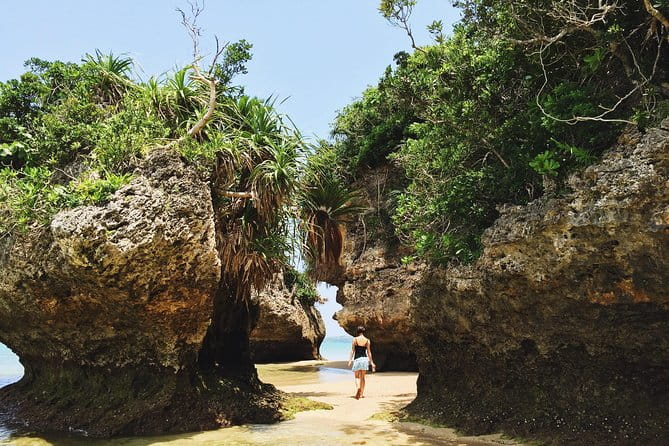 Okinawa Private Customizable Full Day Tour by Private Vehicle - What to Expect on Your Tour Day