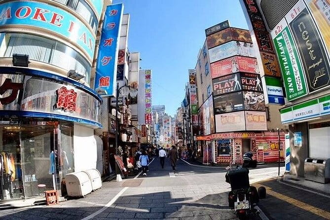 Osaka After Dark A Private Dinner Time Tour In Dotonbori & Namba - Accessibility and Participation
