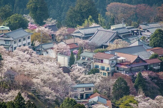 Osaka Kansai Airport to Nara City |A Conveninent Transfer - Accessibility and Participation