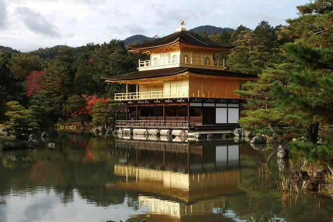 Osaka or Kyoto Private Day Tour With English Driver Free Pickup - Customer Reviews and Feedback
