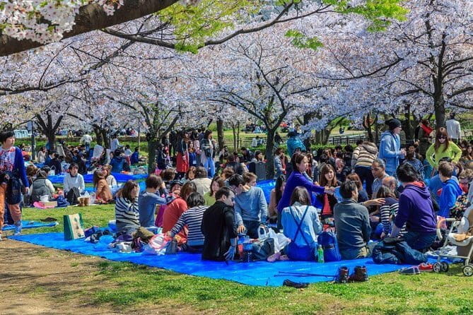 Osaka Spring Daytime (Cherry Blossom) Food Tour - The Beauty of Hanami in Osaka