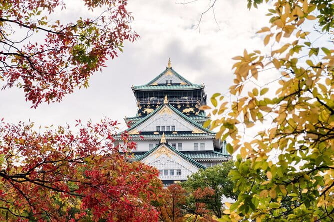 Osaka Spring Daytime (Cherry Blossom) Food Tour - Understanding the History of the Area