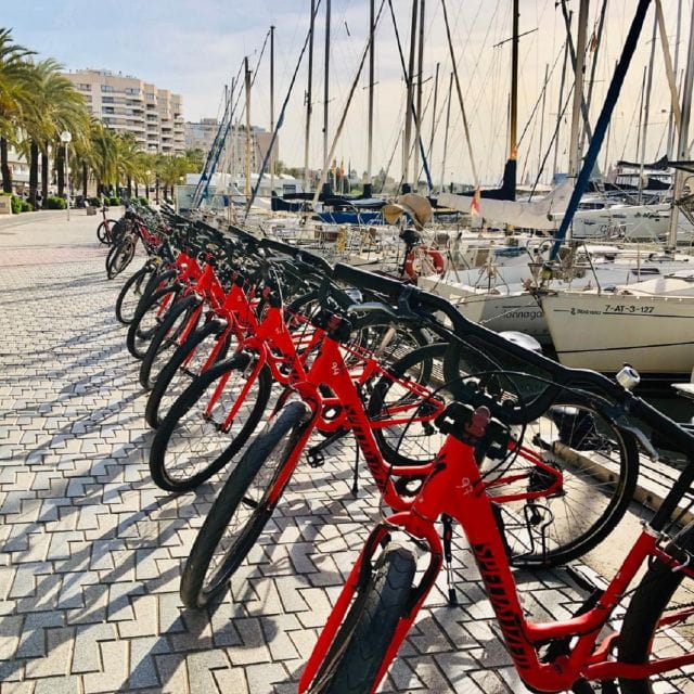 Palma De Mallorca: Guided Bicycle Tour With Tapas & a Drink - Equipment and Safety