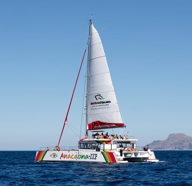 Port Dalcudia: North Coast Catamaran Cruise With Meal - Things To Known