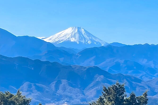 Private All Inclusive Family Tour to Takao Mountain With Prizes - Key Points