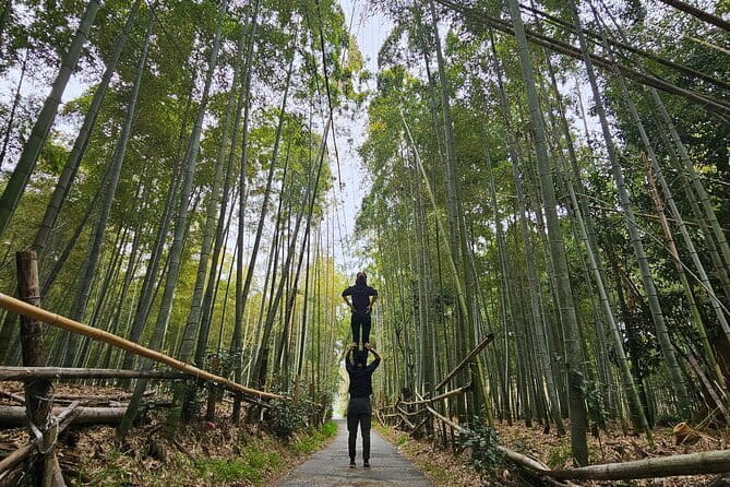 Private Customizable Tour in Kyoto - Overview of the Private Tour Experience