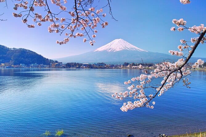 Private Customizable Tour in Mount Fuji - Tour Overview